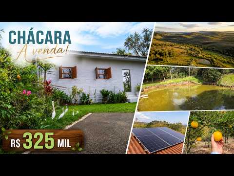 [623] CHÁCARA EM SANTO ANTÔNIO DA PATRULHA 1,5HA CASA AÇUDE POMAR FIBRA ÓTICA R$ 325 MIL #chacara
