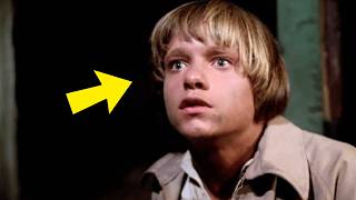 Download lagu Salem's Lot (1979): 15 DARK FACTS You Never Knew mp3 Download lagu Salem's Lot (1979): 15 DARK FACTS You Never Knew mp3