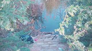 preview picture of video 'Fishing at Haleji Lake, Thatta, Sindh'