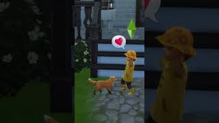 Adopt a Fox | The Sims 4