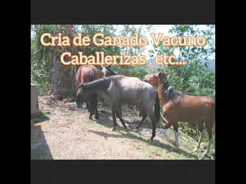 Terreno San Diego de los Altos, Estado Miranda. 100 HA.