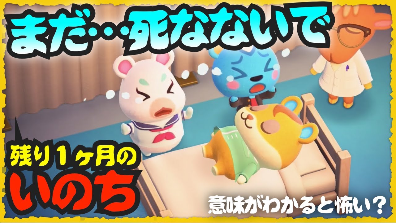 【あつ森ドラマ】ぼくの命はあと１ヶ月【意味が分かると怖い話】【あつまれ どうぶつの森】