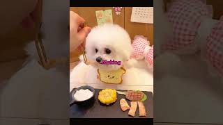 Download lagu This Dog Has the Sweetest Morning Routine 😍🐶 #shorts mp3 Download lagu This Dog Has the Sweetest Morning Routine 😍🐶 #shorts mp3