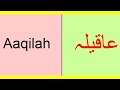 Aaqilah Name Meaning In Urdu English Muslim Girls Names Meaning In English Urdu عاقیلہ
