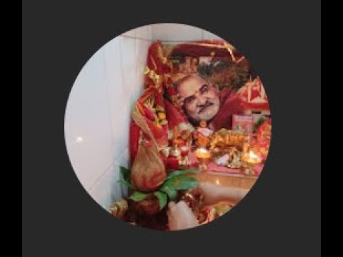 Tell me how many flowers are there