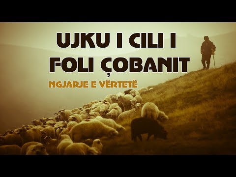 Ujku i cili i foli Çobanit (Emocionale) - Ngjarje e vërtetë
