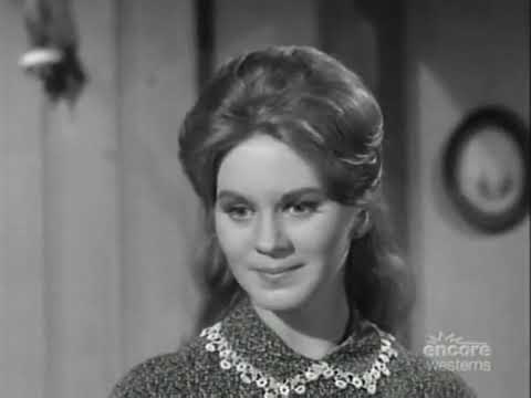 Cheyenne   Season 7 Watch Free online streaming on Movies123