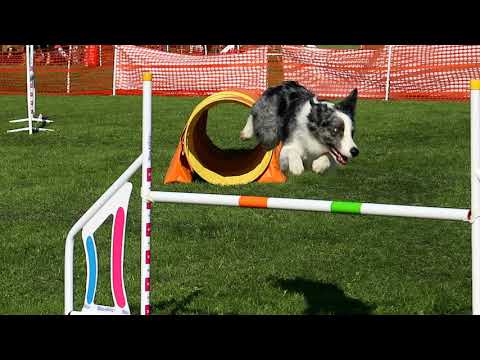 Pilis Open 2020 - promo video