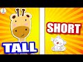 OPPOSITE Words For Young Learners TALL And SHORT Compare And Contrast Opposites For Children