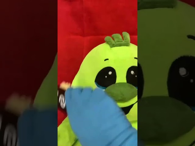 Химчистка мягкой мебели и ковровых покрытий в Краснодаре - быстрая сушка -- Чистый Вид