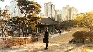 GORGEOUS South Korean BUDDHIST TEMPLE | Seoul