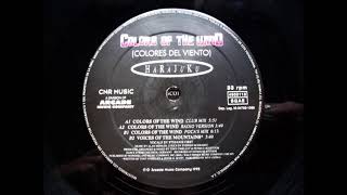 Harajuku - Colours Of The Wind (Colores Del Viento) (Club Mix) (1995)