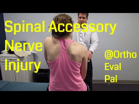 Shoulder Apprehension Test and Relocation Test
