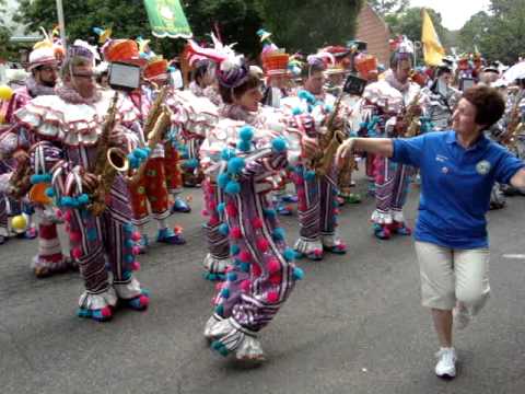 Quaker City String Band - Yankee Doodle Dandy