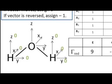 Molecular symmetry in assigning IR vibrational modes for polyatomic molecules