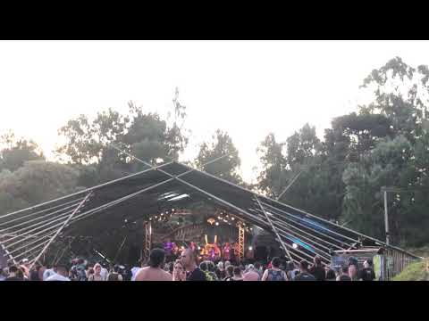 Dazzaranha Terra Azul..