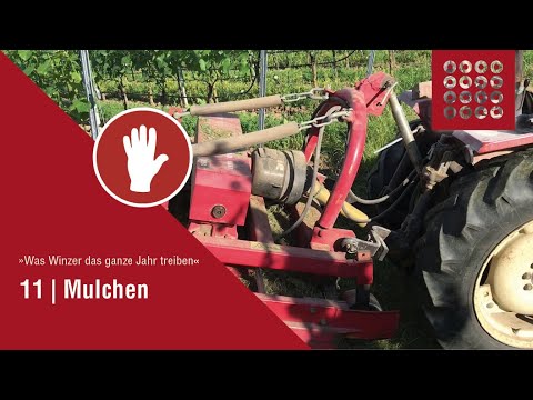 11 Mulchen