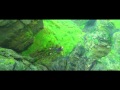 Raavanan Climax Scene Song