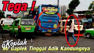 Download lagu LUCU ! ADIK KANDUNG MR GAPLEK DITINGGAL MR GAPLEK ALFARRUQ!! mp3 Download lagu LUCU ! ADIK KANDUNG MR GAPLEK DITINGGAL MR GAPLEK ALFARRUQ!! mp3