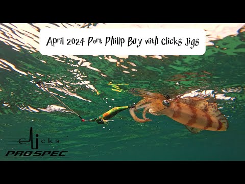 April 2024 - Ep 1 - Port Phillip Bay with Clicks Jigs