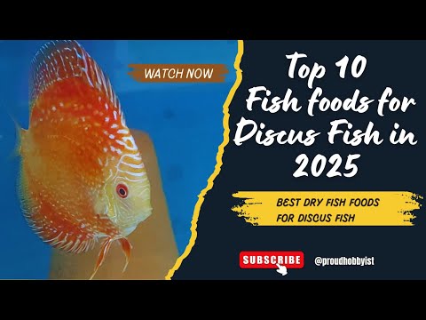 Top 10 Fish foods for Discus Fish in 2025 | Best Discus fish Foods | Proud Hobbyist