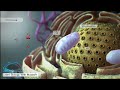 Cellular respiration and gastric Cancer short animation video ! #animation