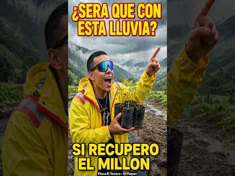 ¿SERÁ QUE RECUPERARÉ EL MILLÓN CON ESTA LLUVIA? 🌧️🥑 | Finca El Tesoro - El Playón