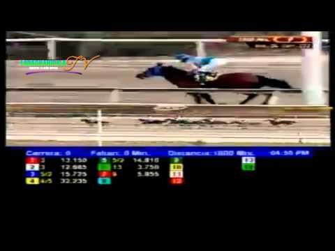 LA RINCONADA 9 CARRERA DOMINGO 30 DE MARZO DEL 2014