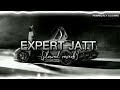 Expert Jatt (slowed reverb) | PERFECTLY SLOWED