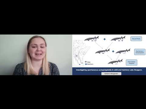 3MT Finalist - Third Place - Kaitlynn Weisgerber- 2022