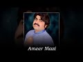 Sari Naseeban Di Hey Khed Way By Singer Ameer Niazi Paikhel Shorts Saraikisong Song
