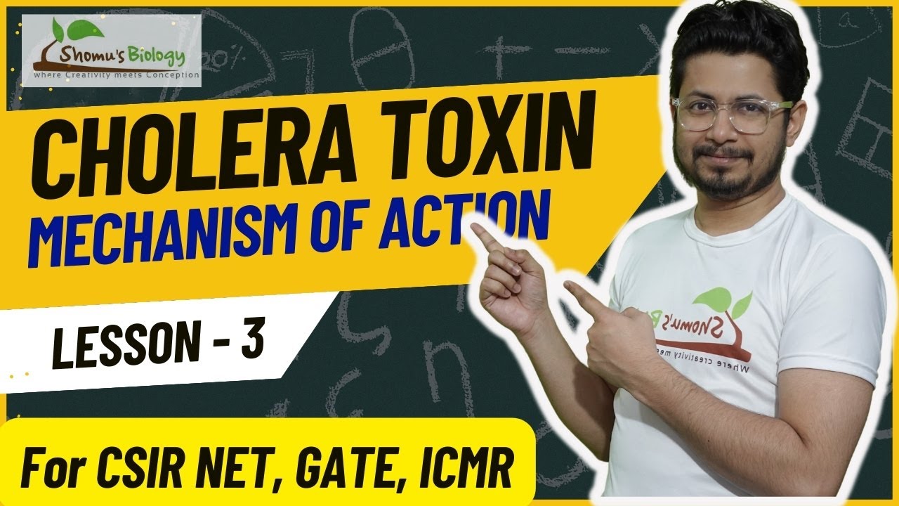 Cholera toxin mechanism of action | How Cholera toxin works?