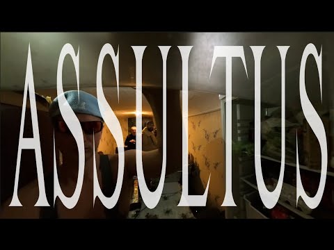 ASSULTUS | FRIDGE MECHANICAL RITUALS – EBM / INDUSTRIAL TECHNO