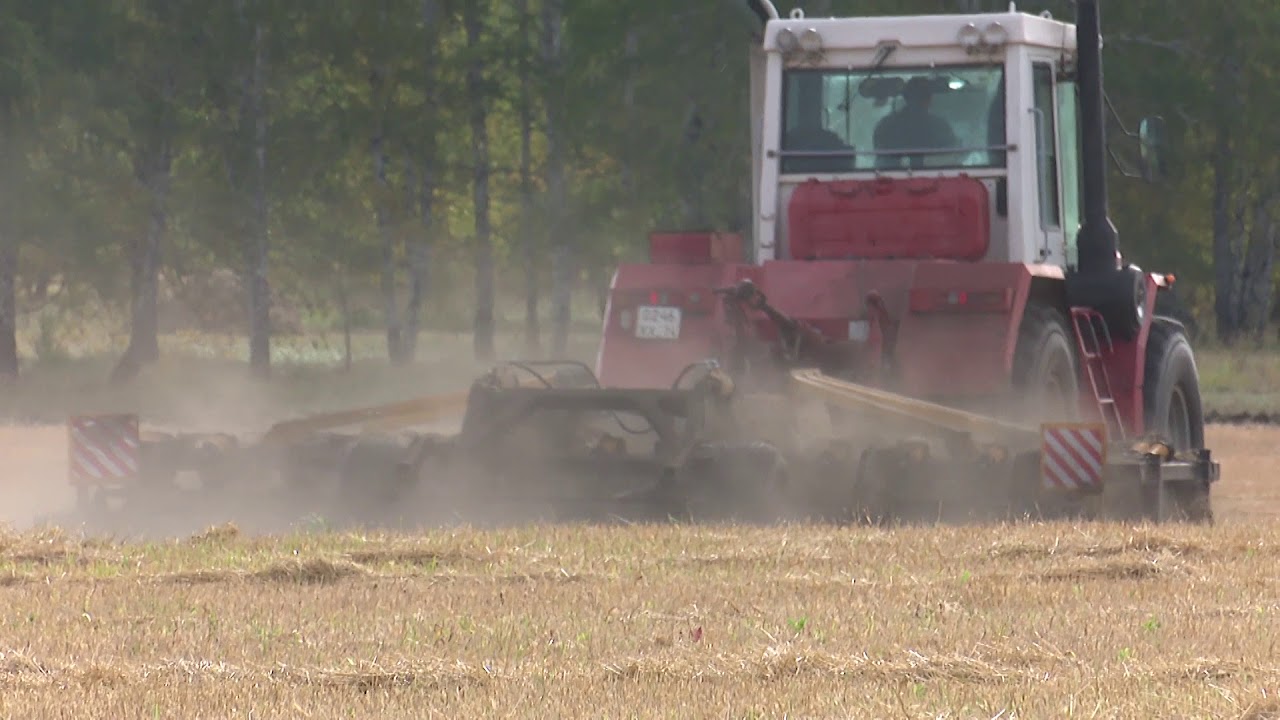 КФХ Олега Викторовича Петрова и агроном