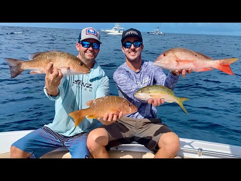 Snapper after Snapper on the REEF! Species Comparison! Catch Clean and Cook on the Half Shell