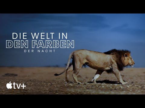Trailer-Vorschau: Die Welt in den Farben der Nacht