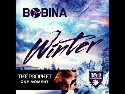 Bobina Vs. The Prophet - One Moment In Winter (Sandro Vanniel Mashup)