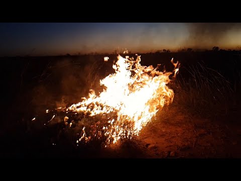 MABU BURU LIFESTYLE EPISODE 15 - TRADITIONAL BURNING, for bush turkey hunting and healthy country.