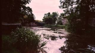 Autumn Leaves - Embraced By The Absolute