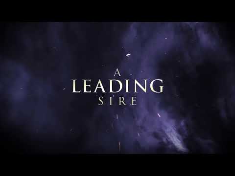 Gulfstream Park: April 5, 2018 Replay Show