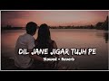 Dil Jane Jigar Tujh Pe (Lo-fi) - slowed reverb | Re_edit_lofi & LG Music |Jackpot