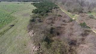 Deer found while on SAR mission for lost dog. Dji phantom Ipswich