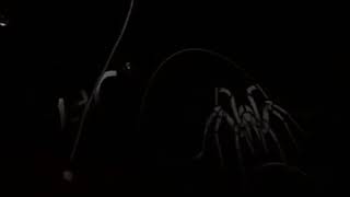 Download lagu Story WA Cover (Yang pertama kali) PANCE PONDAAG mp3