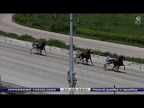 Aversa trotto 22 Maggio 2021 - Prova di qualifica e riqualifica