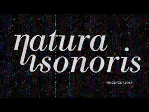 Henry Saiz & Marc Marzenit  - Radiance (King Unique Remix) Natura Sonoris