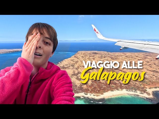 Andiamo alle Galapagos! Inizia il viaggio