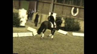 Video von Münchhausen