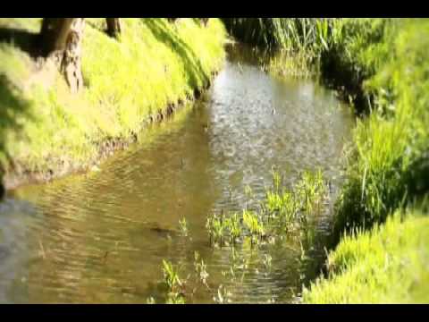 Down by the Salley Gardens (Gort na Saileán) Sheet - Emy Fujita