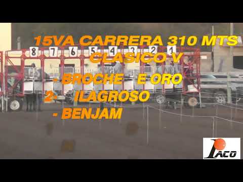 BROCHE DE ORO HIPODROMO DON SOHAR CRUZ DEL EJE 28 08 2022