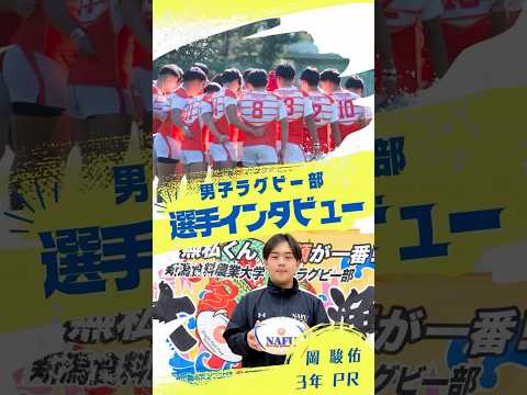 男子ラグビー部インタビュー第4弾　#新潟食料農業大学　#大学ラグビー